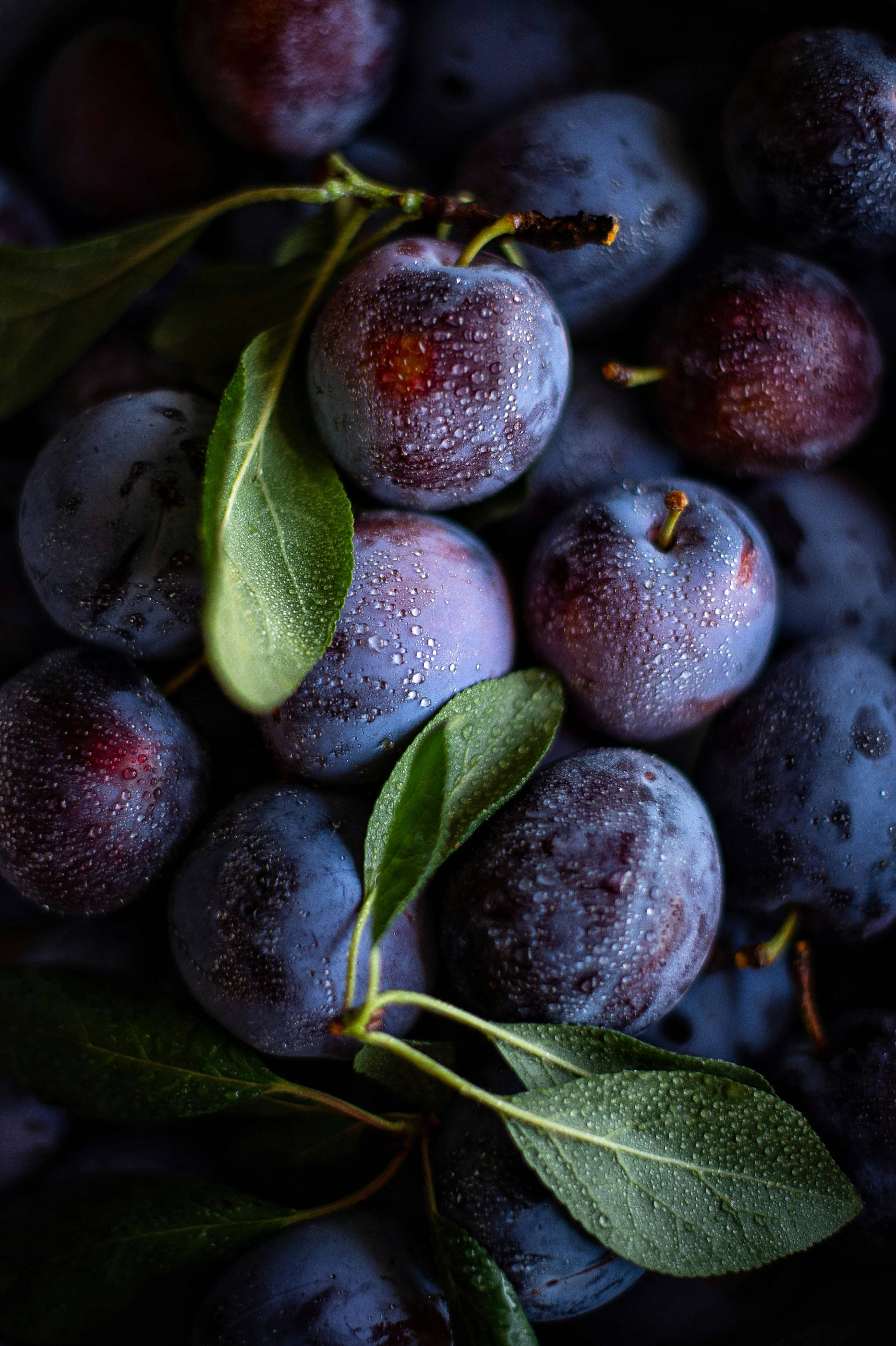 Comment Économiser sur l'Alimentation: Les 5 Applications Indispensables en 2025