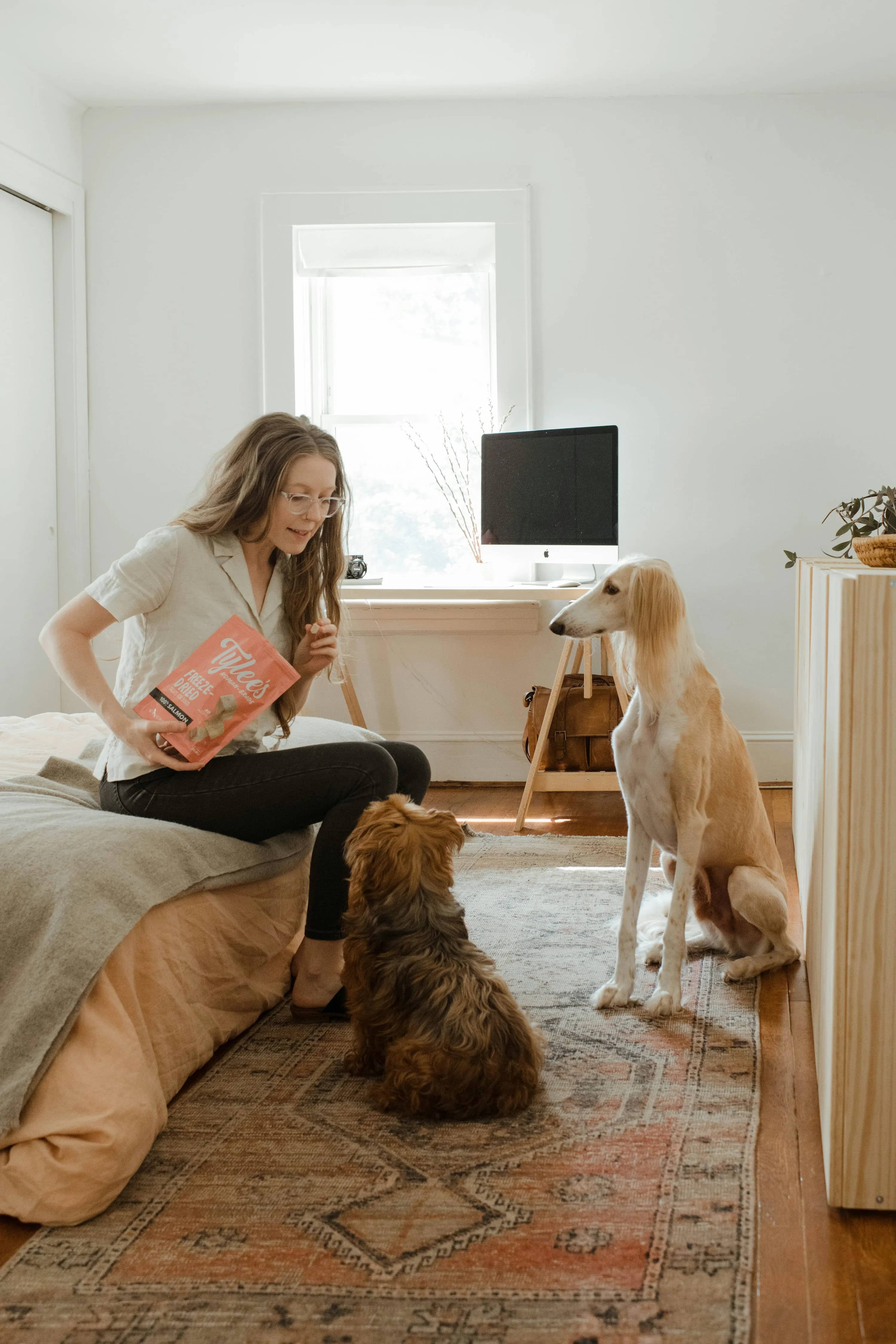 Pet sitting pas cher : 5 applis à tester